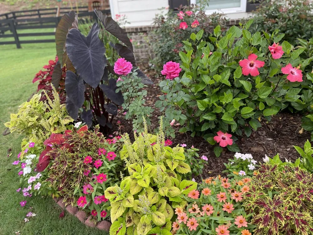 Trusted lawn mowing service for beautiful yards in Chamblee, GA by Barajas Tree Services & Landscaping