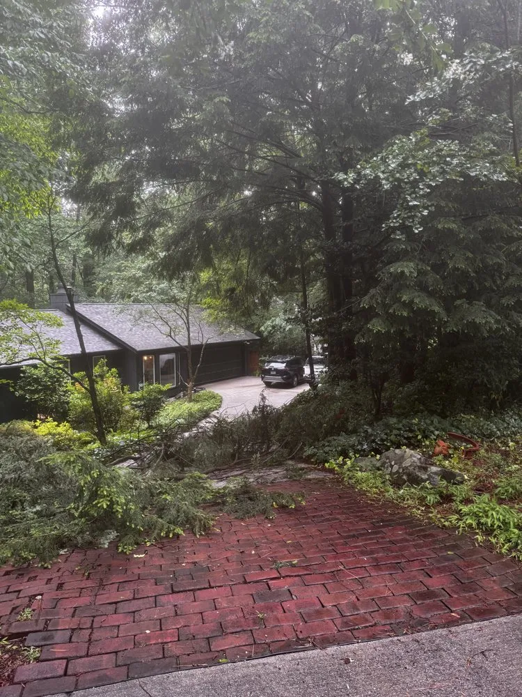 Local landscaping services in Chamblee, GA - Barajas Tree Services & Landscaping