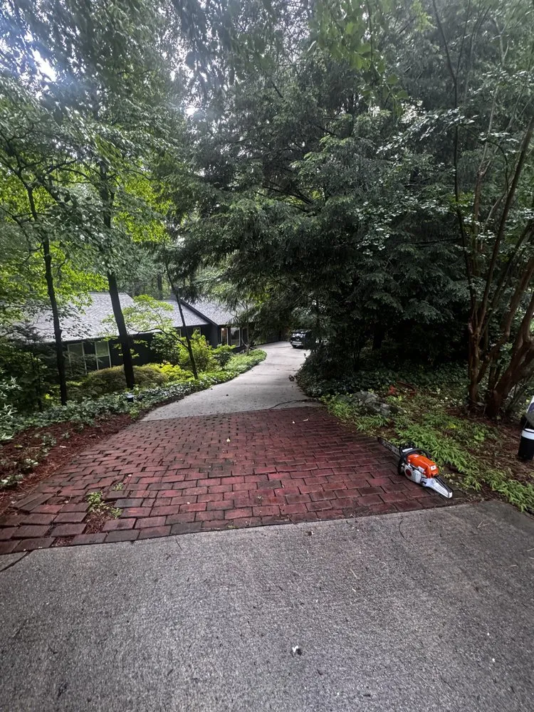 Local lawn mowing service for year-round maintenance across Chamblee, GA - Barajas Tree Services & Landscaping