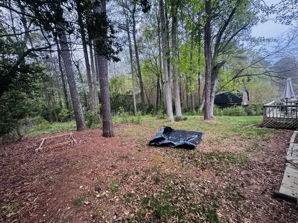 Local lawn mowing service for beautiful yards across Chamblee, GA - Barajas Tree Services & Landscaping