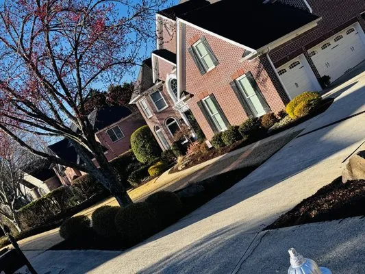 Barajas Tree Services & Landscaping