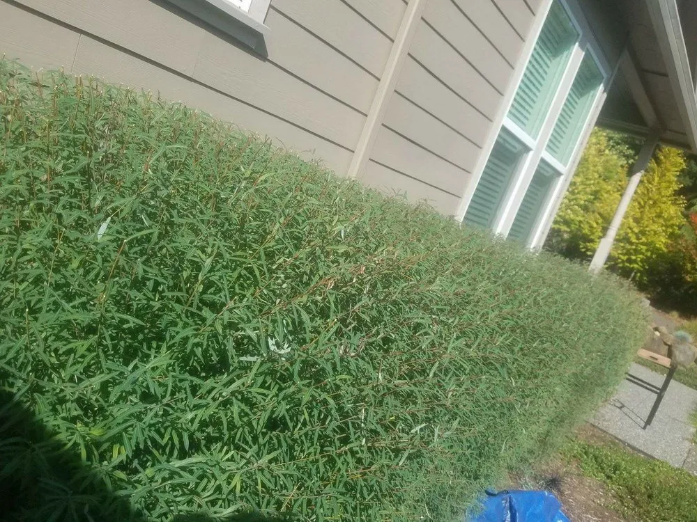 Local landscaping services experts serving White Salmon, WA - Barajas Victorio Landscaping