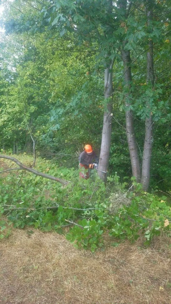 Affordable outdoor landscaping for residential properties in White Salmon, WA by Barajas Victorio Landscaping