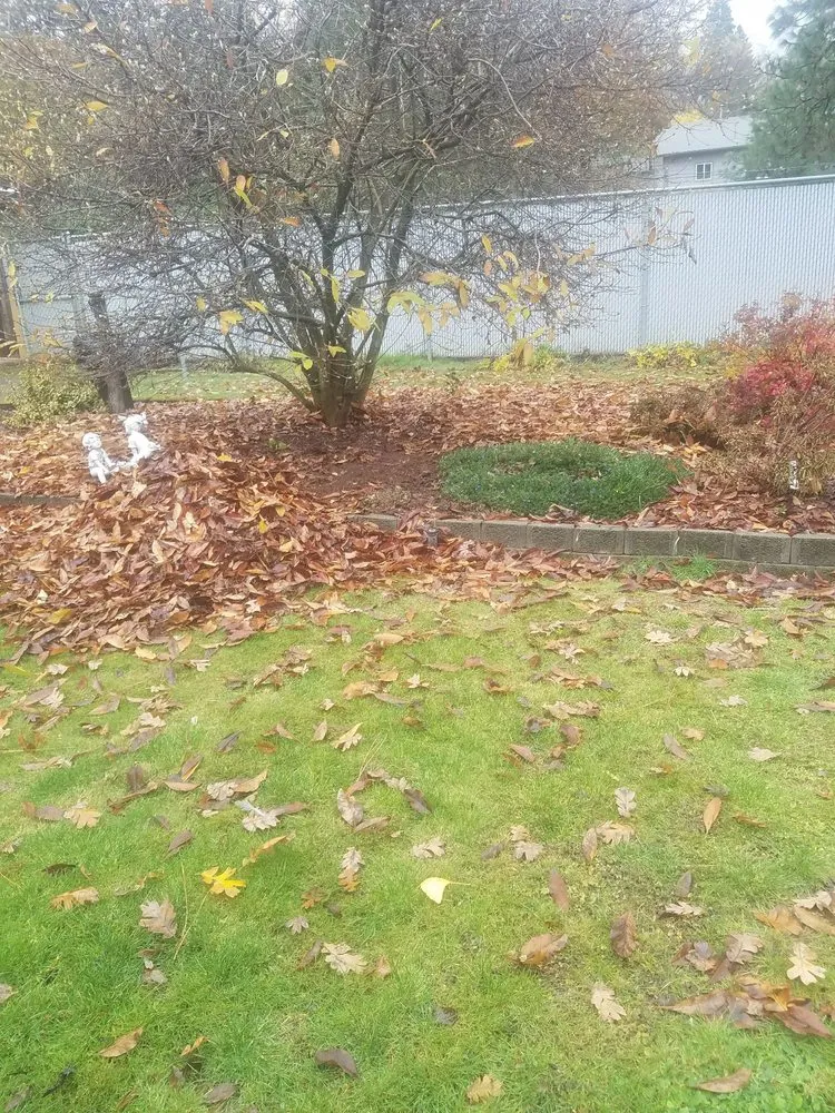 Affordable landscape installation in White Salmon, WA - Barajas Victorio Landscaping