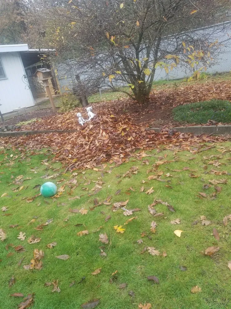 Top-rated yard cleanup service for beautiful yards across White Salmon, WA - Barajas Victorio Landscaping