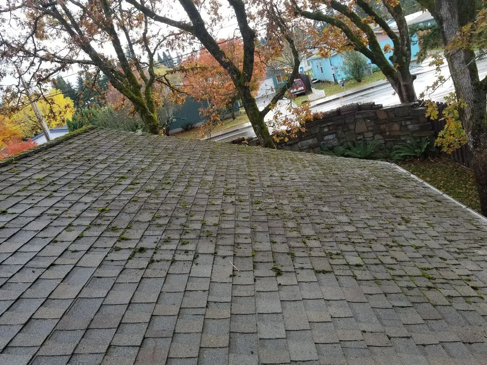 Professional lawn mowing service experts serving White Salmon, WA - Barajas Victorio Landscaping