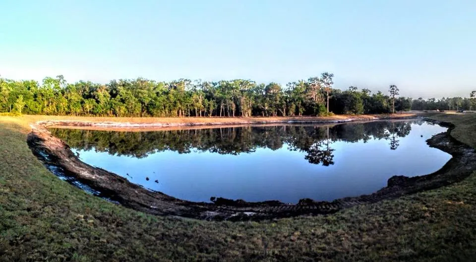 Expert residential landscaping in Lake Placid, FL - BaRaR Contracting