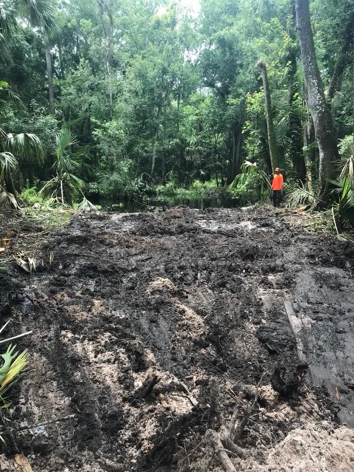 Local landscape design in Lake Placid, FL - BaRaR Contracting