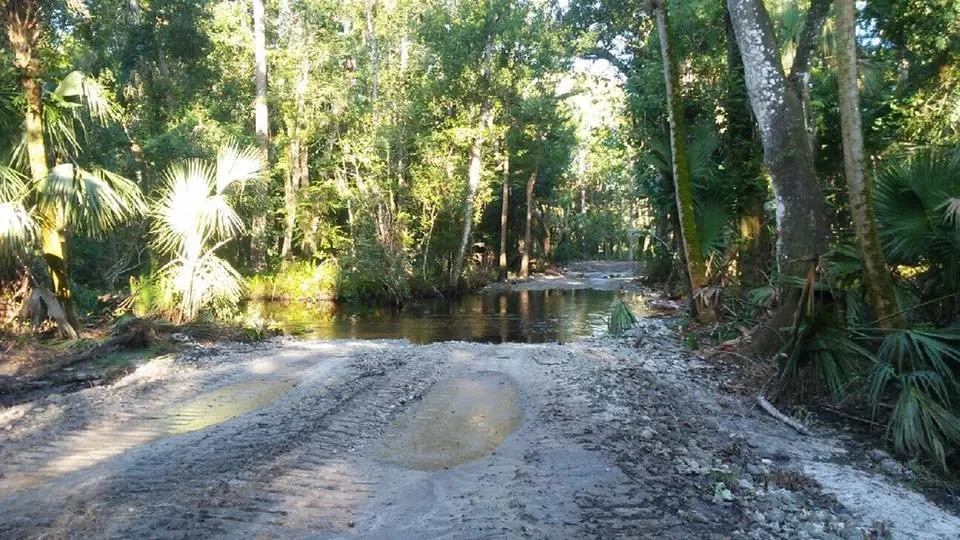 Custom yard maintenance for homes across Lake Placid, FL - BaRaR Contracting