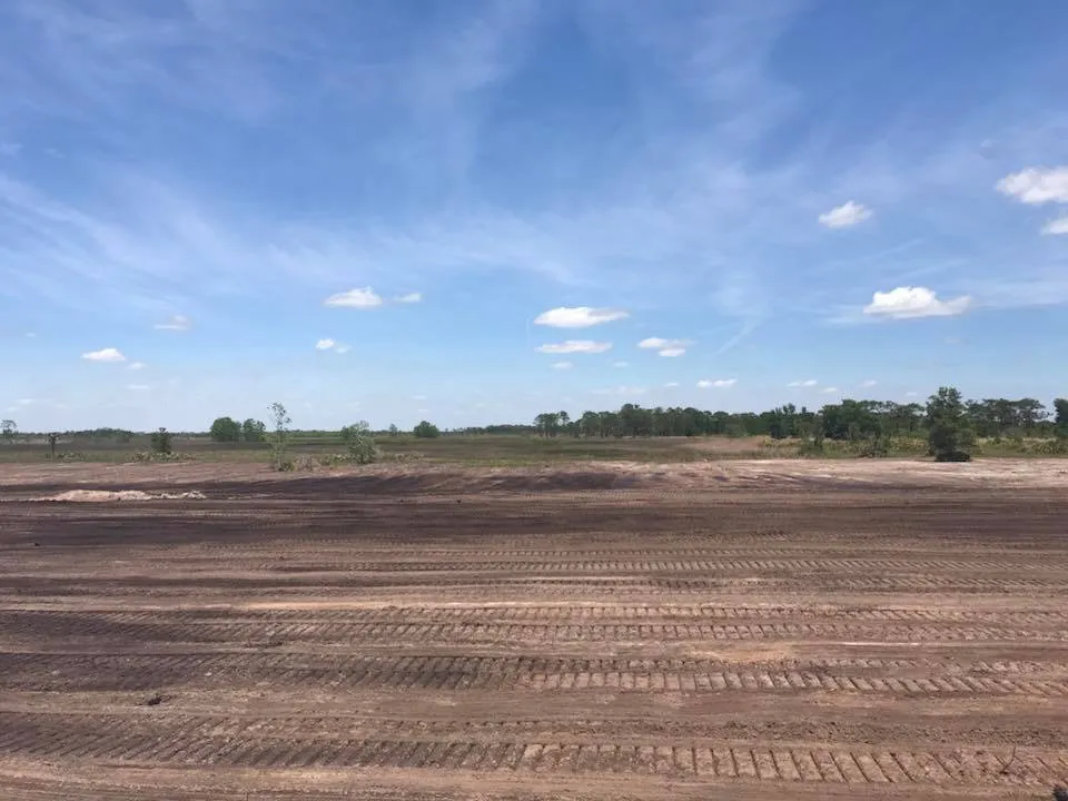 Expert lawn care service in Lake Placid, FL - BaRaR Contracting