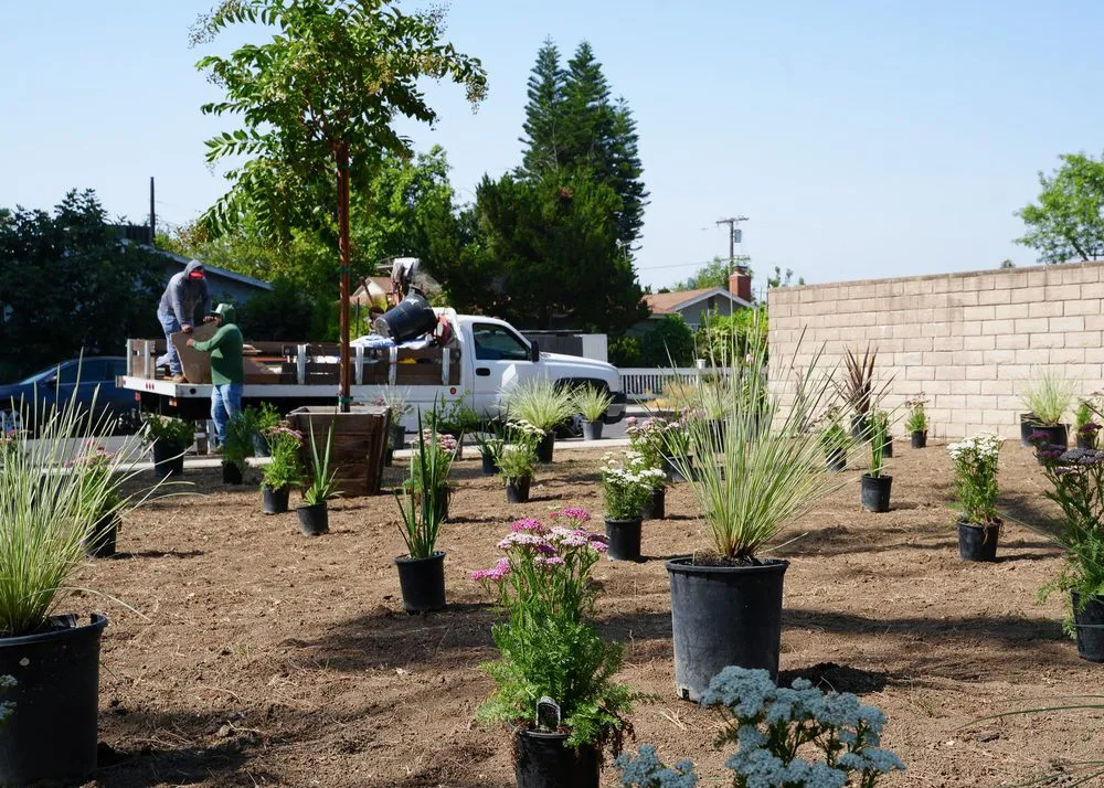 Affordable lawn care service in Santa Monica, CA by Barba Landscape