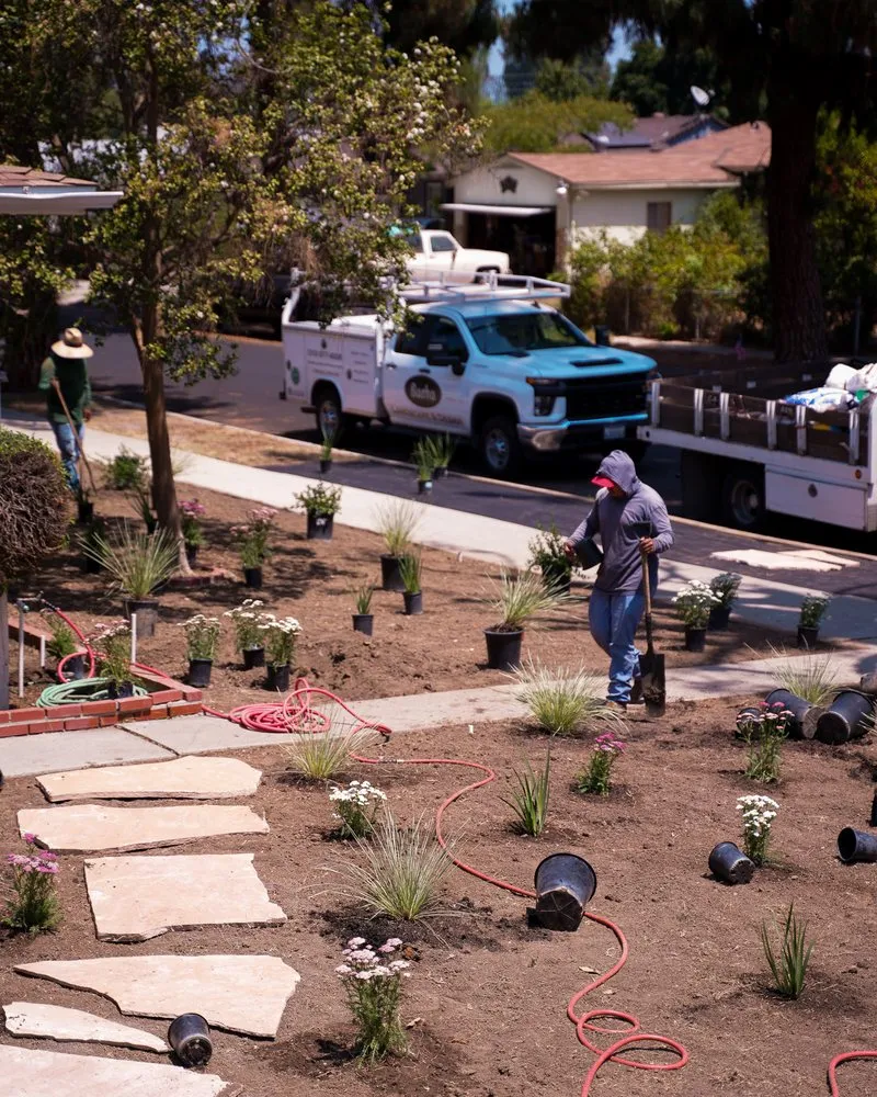 Professional yard cleanup service in Santa Monica, CA by Barba Landscape