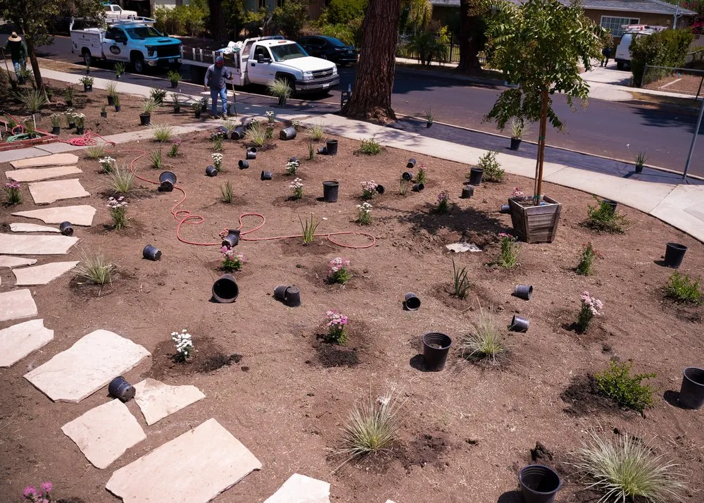 Reliable yard maintenance for year-round maintenance across Santa Monica, CA - Barba Landscape