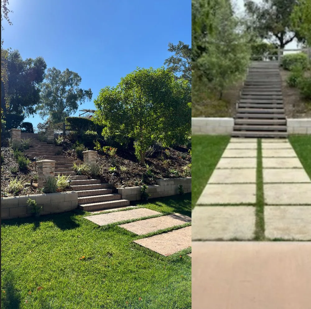 Affordable yard cleanup service for year-round maintenance across Santa Monica, CA - Barba Landscape