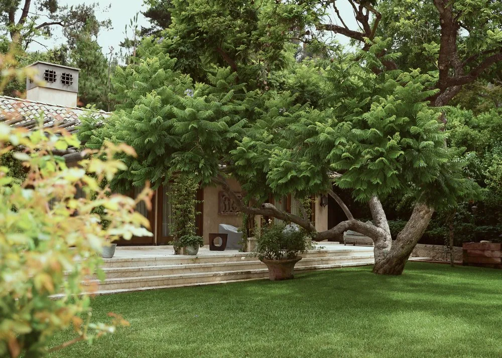 Expert landscape design with custom design in Santa Monica, CA by Barba Landscape