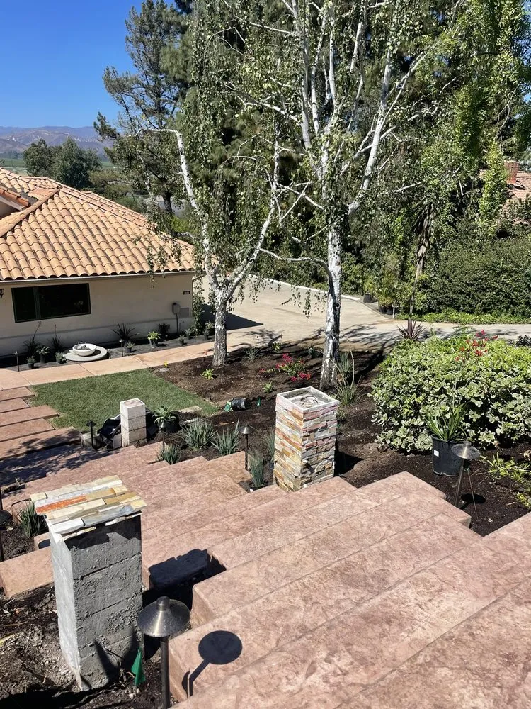 Affordable landscape design for beautiful yards in Santa Monica, CA by Barba Landscape