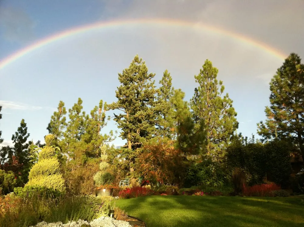 Reliable landscape installation for outdoor upgrades in Spokane, WA by Barbara Safranek Landscape Design