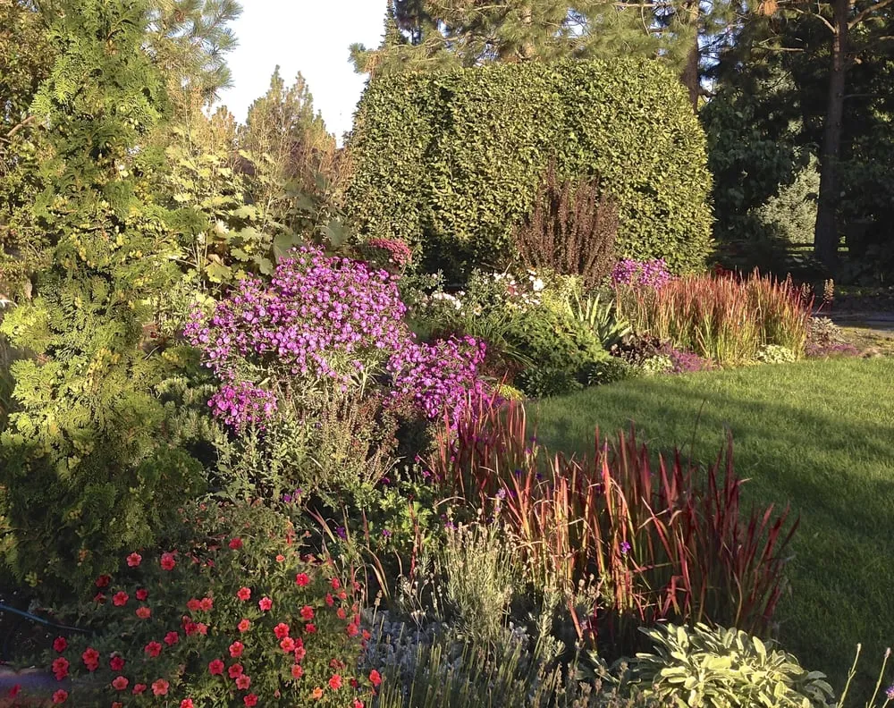 Local lawn care service in Spokane, WA - Barbara Safranek Landscape Design