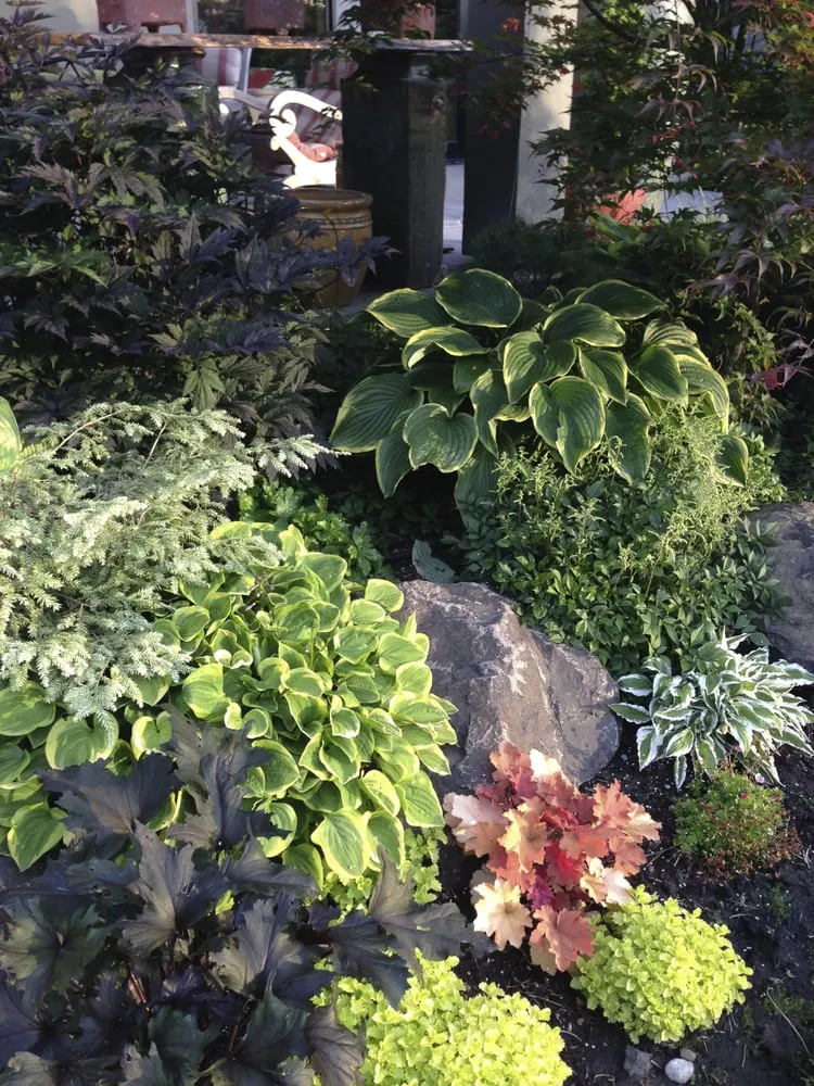 Expert yard maintenance experts serving Spokane, WA - Barbara Safranek Landscape Design