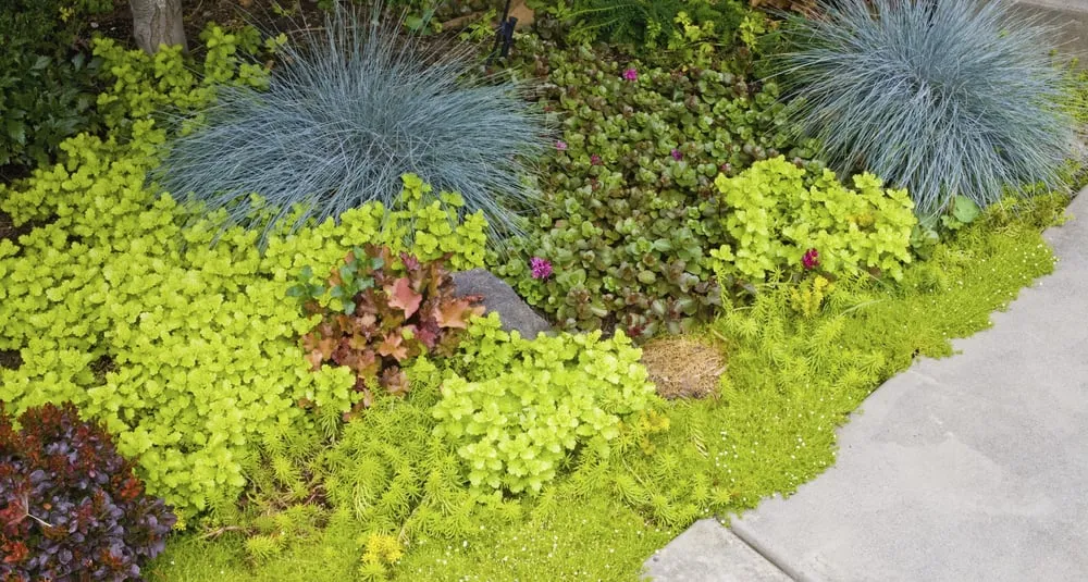 Trusted lawn care service experts serving Spokane, WA - Barbara Safranek Landscape Design