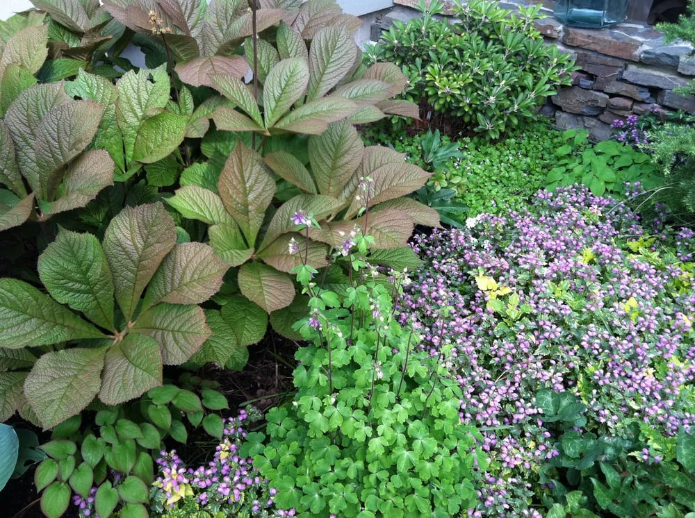 Trusted landscaping services for outdoor upgrades across Spokane, WA - Barbara Safranek Landscape Design