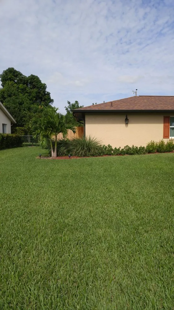 Top-rated yard cleanup service in Cape Coral, FL by Barbato Property Services