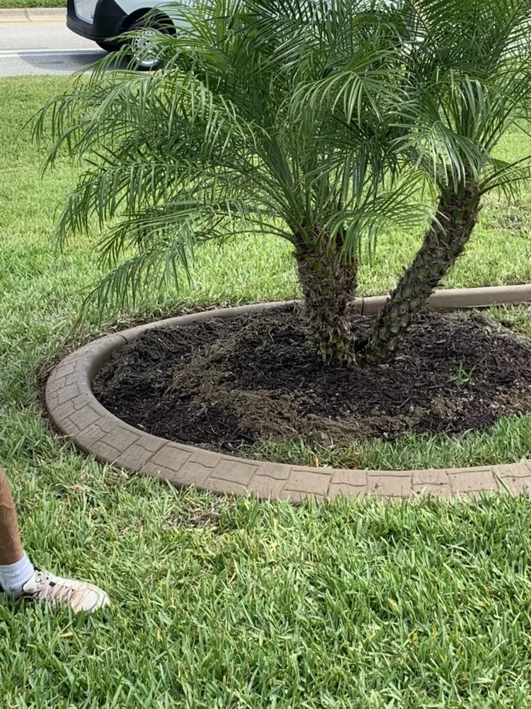 Professional lawn mowing service in Cape Coral, FL by Barbato Property Services