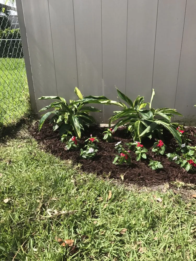 Expert lawn mowing service in Cape Coral, FL - Barbato Property Services