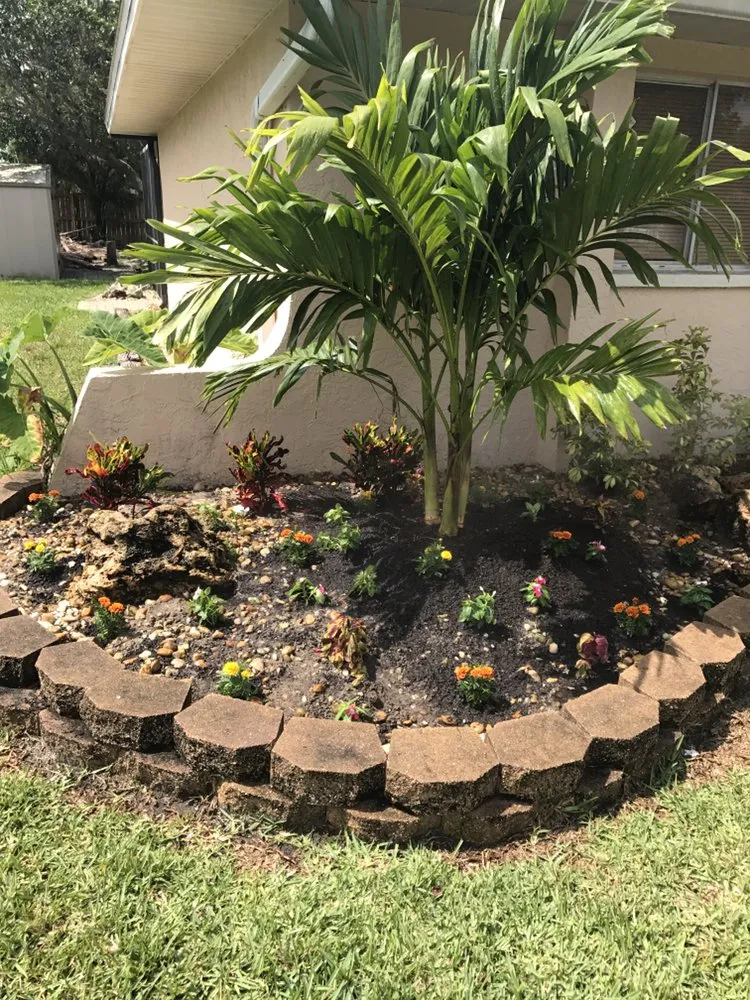 Local residential landscaping in Cape Coral, FL - Barbato Property Services