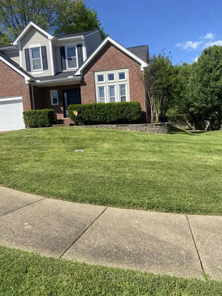 Professional yard cleanup service experts serving Clarksville, TN - Barbee Lawn Care