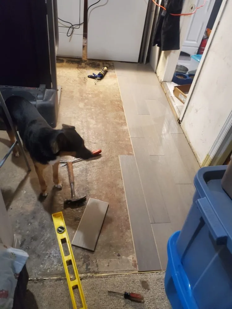 Local lawn mowing service experts serving West Chester, PA - Barber Boy's