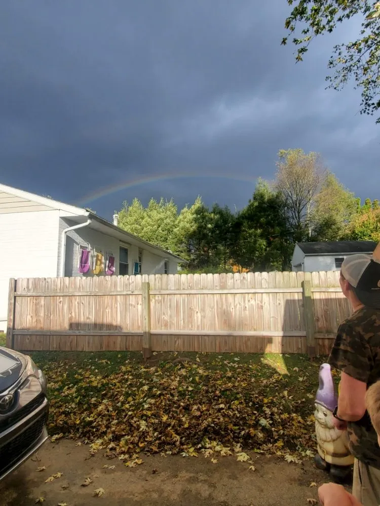 Custom lawn care service for year-round maintenance across West Chester, PA - Barber Boy's