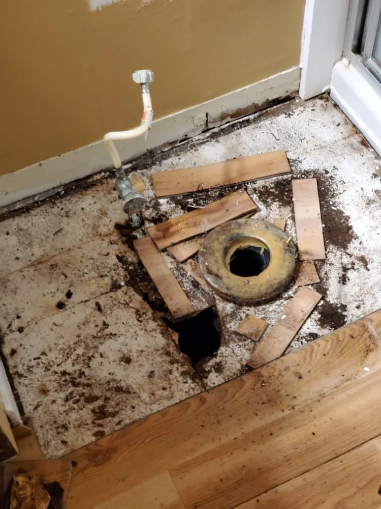 Custom garden landscaping in West Chester, PA - Barber Boy's