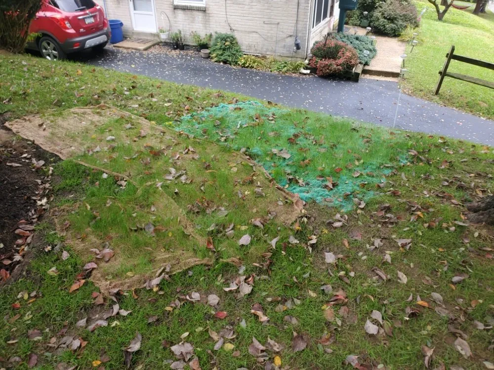 Reliable residential landscaping in West Chester, PA by Barber Boy's