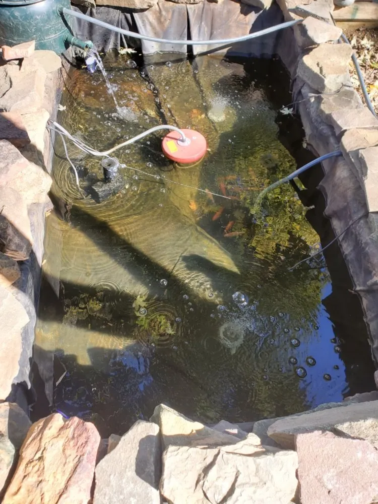 Expert landscape design in West Chester, PA - Barber Boy's