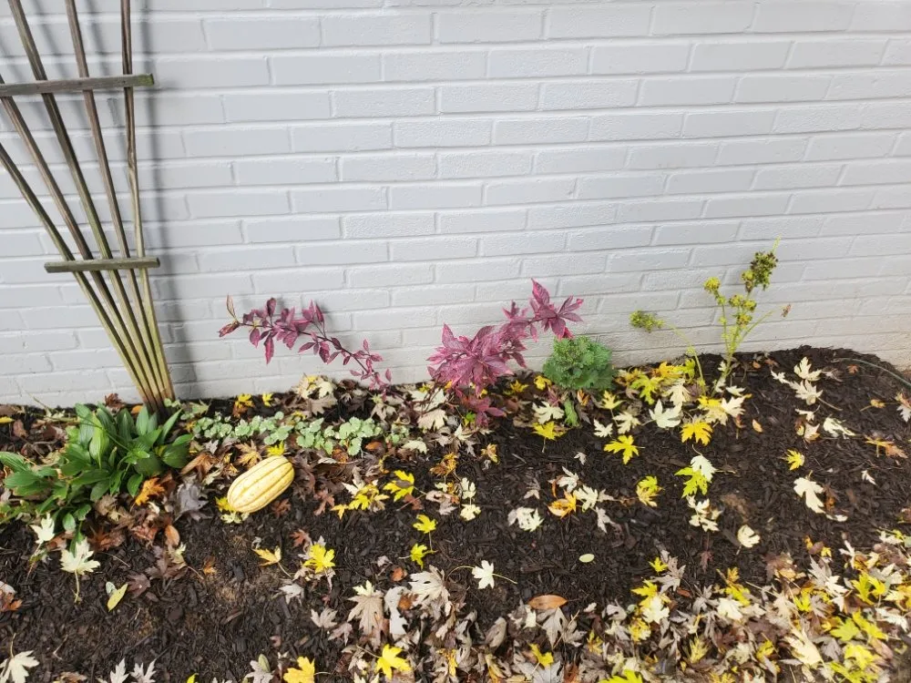 Affordable landscaping services in West Chester, PA by Barber Boy's