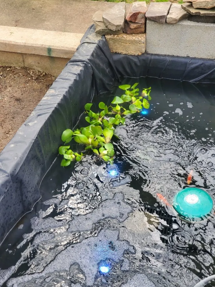 Affordable landscape design for residential properties across West Chester, PA - Barber Boy's