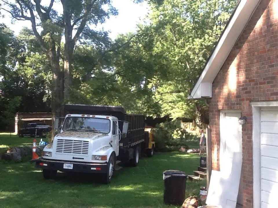 Local yard cleanup service in Shelbyville, TN by Barber's Tree Service