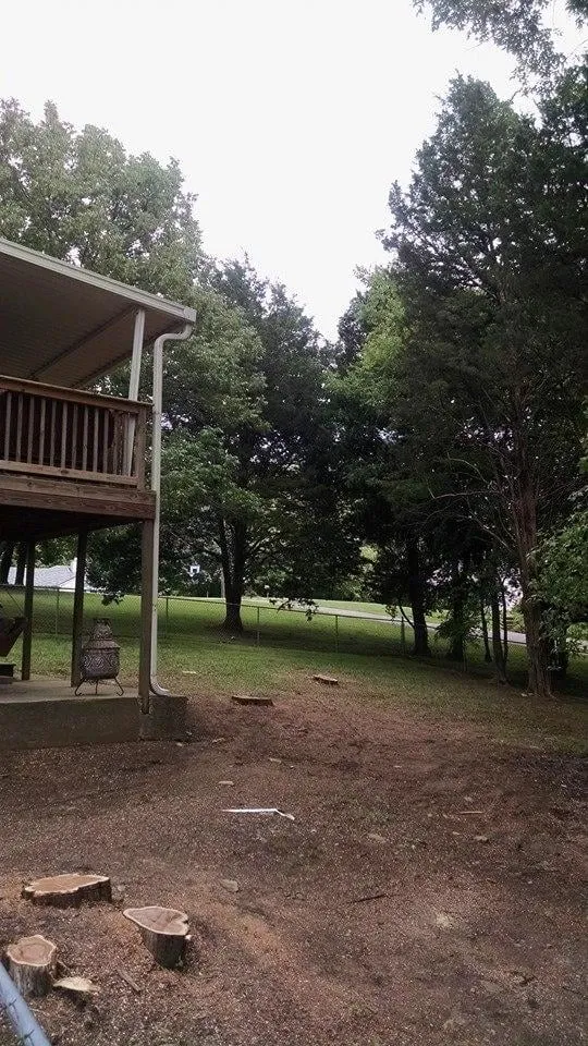 Local landscaping services for outdoor upgrades in Shelbyville, TN by Barber's Tree Service