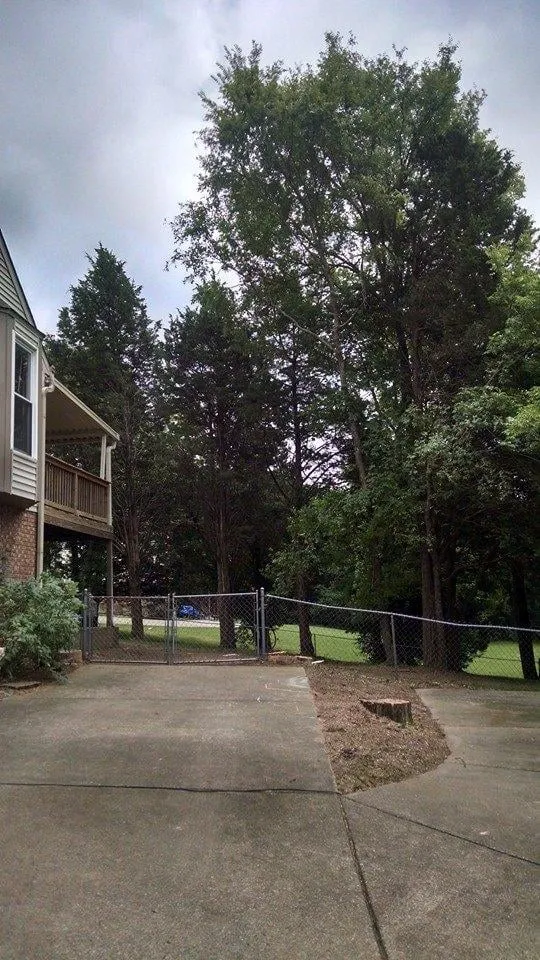 Top-rated lawn care service for homes across Shelbyville, TN - Barber's Tree Service