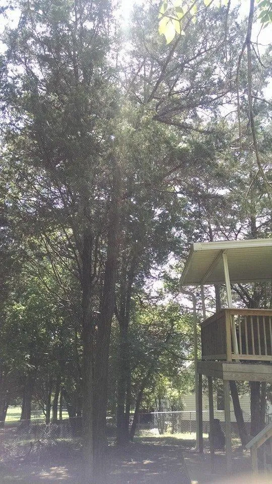 Reliable garden landscaping in Shelbyville, TN by Barber's Tree Service