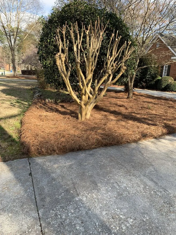 Professional lawn care service in Conyers, GA by Barbis bothers landscaping