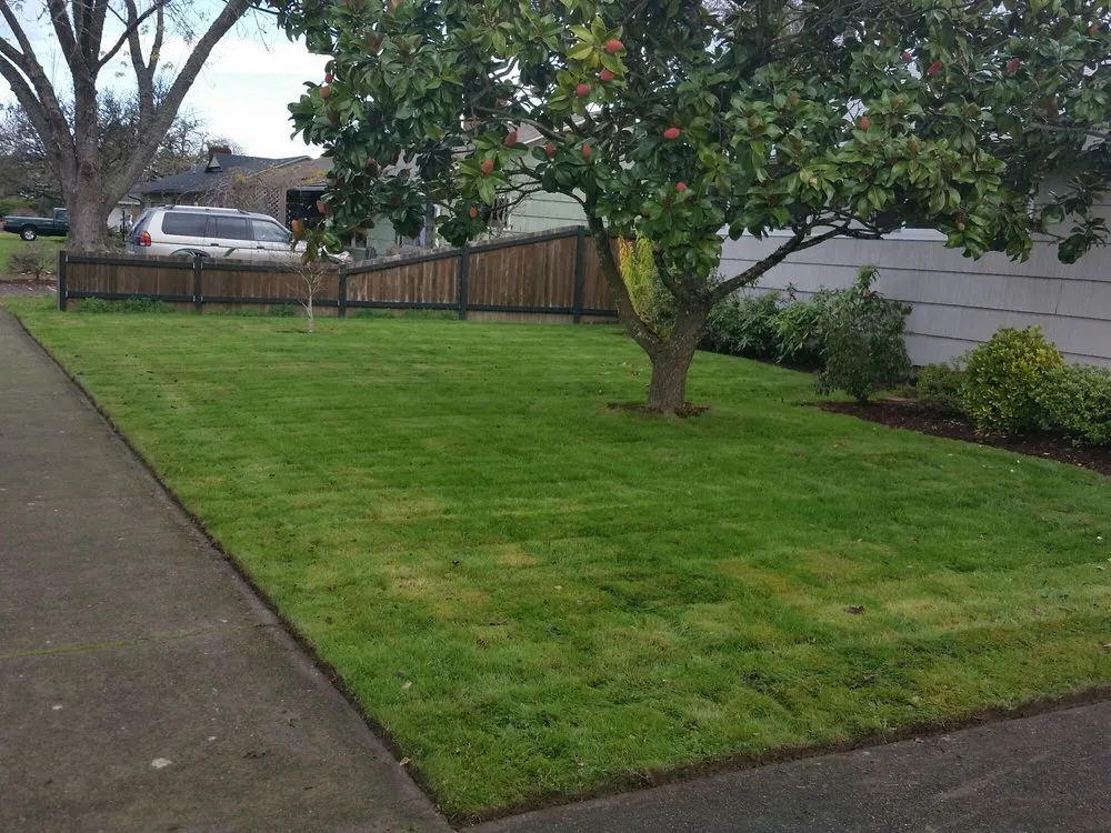 Local yard maintenance for year-round maintenance in Corvallis, OR by Barbosa Home Maintenance Services