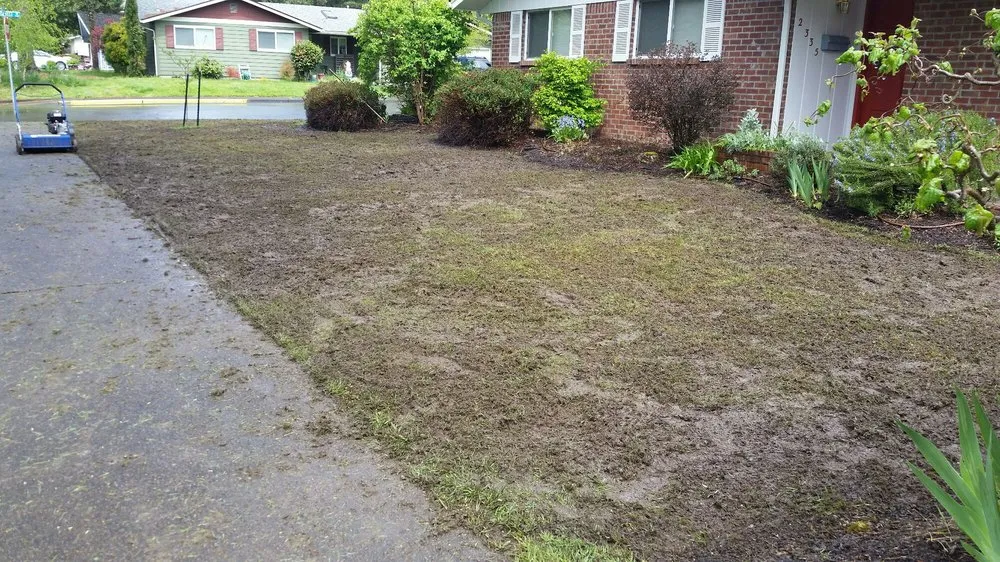 Affordable yard cleanup service for residential properties across Corvallis, OR - Barbosa Home Maintenance Services