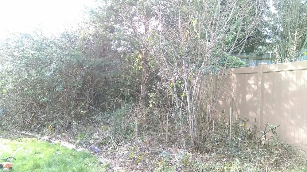 Top-rated residential landscaping in Corvallis, OR - Barbosa Home Maintenance Services