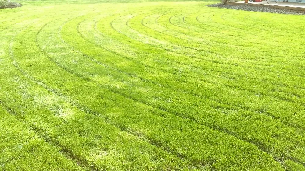 Reliable lawn care service experts serving Corvallis, OR - Barbosa Home Maintenance Services