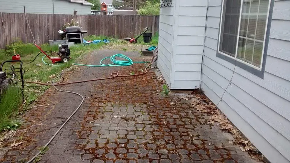 Expert landscaping services in Corvallis, OR by Barbosa Home Maintenance Services