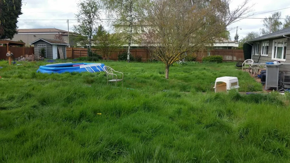 Professional garden landscaping with custom design in Corvallis, OR by Barbosa Home Maintenance Services