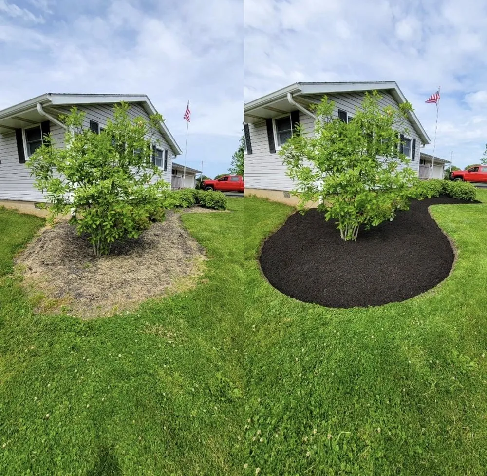 Top-rated lawn care service for year-round maintenance across Shoreline, WA - Barbosa Landscaping