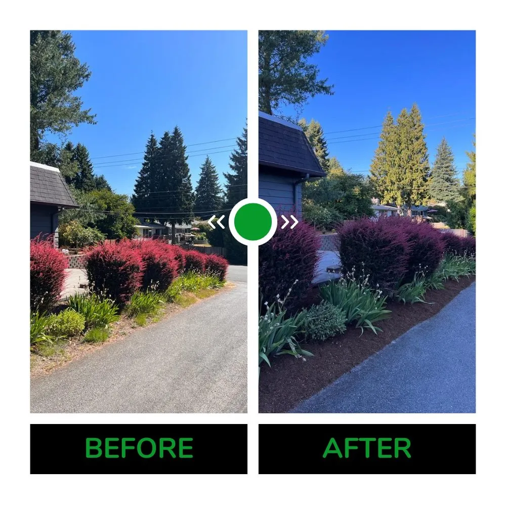 Expert landscape design for beautiful yards across Shoreline, WA - Barbosa Landscaping